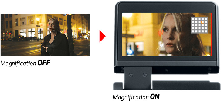 Ability to Shift the Magnification Location In The Viewfinder